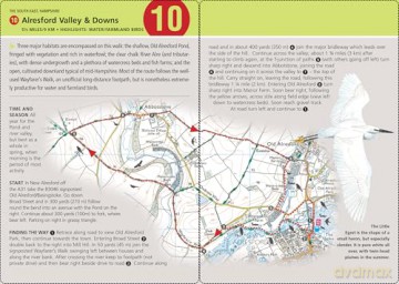 Birdwatcher's Walks in a Box: Year-round bird walks in Britain on pocketable cards (Duncan Petersen Guides) - Duncan Petersen [KSIĄŻKA]