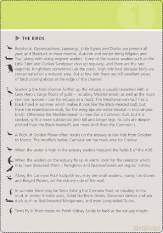 Birdwatcher's Walks in a Box: Year-round bird walks in Britain on pocketable cards (Duncan Petersen Guides) - Duncan Petersen [KSIĄŻKA]
