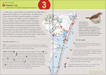 Birdwatcher's Walks in a Box: Year-round bird walks in Britain on pocketable cards (Duncan Petersen Guides) - Duncan Petersen [KSIĄŻKA]