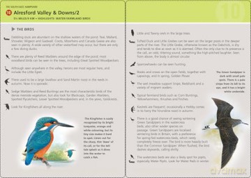 Birdwatcher's Walks in a Box: Year-round bird walks in Britain on pocketable cards (Duncan Petersen Guides) - Duncan Petersen [KSIĄŻKA]