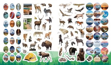 1,000 Stickers: USA (Regional Sticker Books) - duopress [KSIĄŻKA]