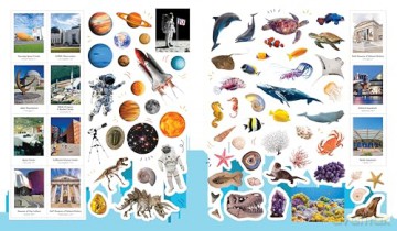 1,000 Stickers: USA (Regional Sticker Books) - duopress [KSIĄŻKA]