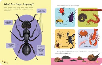 Bug Snacks: How Eating Insects Can Change the World - Jess French [KSIĄŻKA]