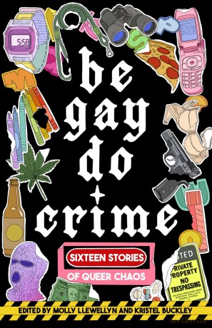 Be Gay, Do Crime: Sixteen Stories of Queer Chaos - Alissa Nutting [KSIĄŻKA]
