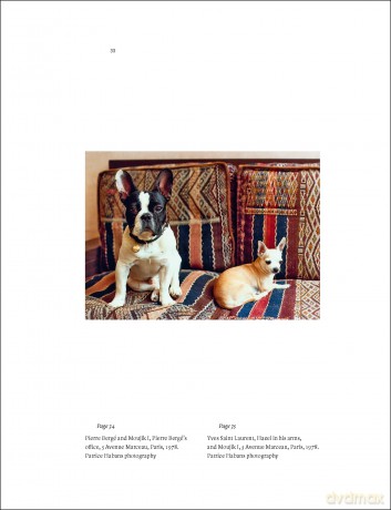Yves Saint Laurent and his Dogs: Amigos Forever: 2 - Martin Bethenod [KSIĄŻKA]