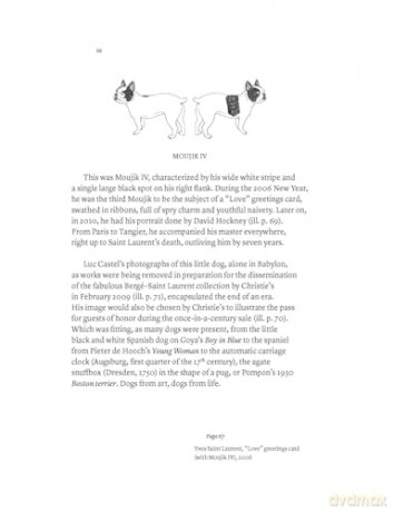 Yves Saint Laurent and his Dogs: Amigos Forever: 2 - Martin Bethenod [KSIĄŻKA]