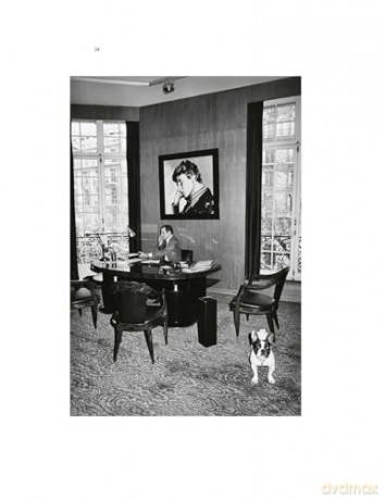 Yves Saint Laurent and his Dogs: Amigos Forever: 2 - Martin Bethenod [KSIĄŻKA]