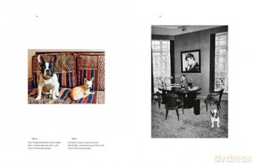 Yves Saint Laurent and his Dogs: Amigos Forever: 2 - Martin Bethenod [KSIĄŻKA]