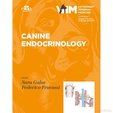 Canine Endocrinology - Sara Galac [KSIĄŻKA]