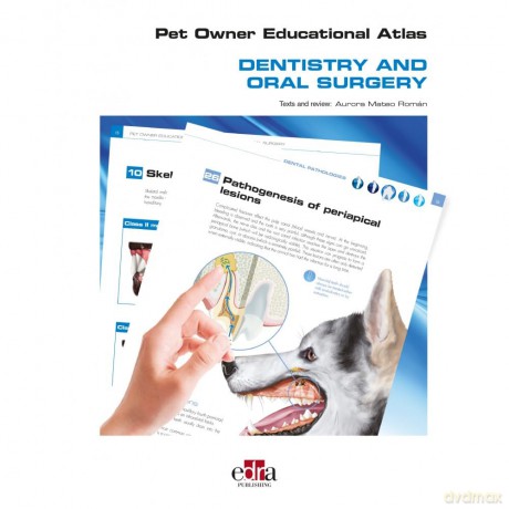 Pet Owner Educational Atlas - Dentistry and Oral Surgery - Aurora Mateo Román [KSIĄŻKA]