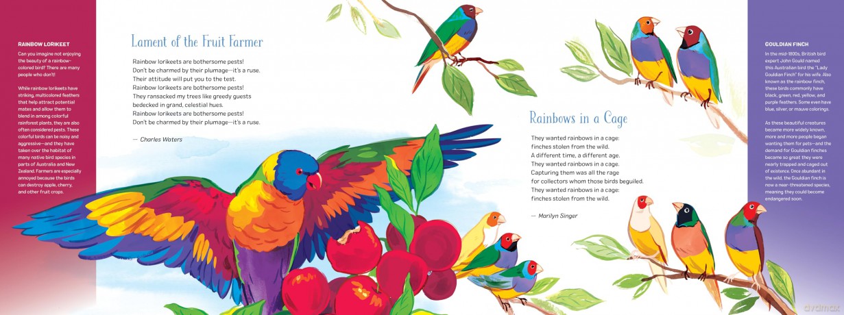 A Universe of Rainbows: Multicolored Poems for a Multicolored World (Spectacular Steam for Curious Readers (Sscr)) - Matt Forrest Esenwine [KSIĄŻKA]