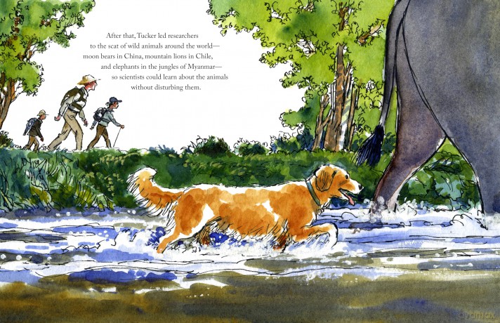 Trouble Dog: From Shelter Dog to Conservation Hero (Spectacular Steam for Curious Readers (Sscr)) - Carol A. Foote [KSIĄŻKA]