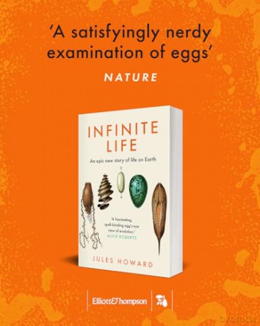 Infinite Life: An Epic New Story of Life on Earth - Jules Howard [KSIĄŻKA]