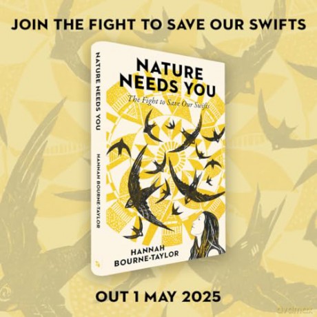 Nature Needs You: The Fight to Save Our Swifts - Hannah Bourne-Taylor [KSIĄŻKA]