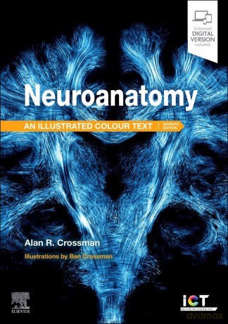 Neuroanatomy: Illustrated Colour Text - Alan R. Crossman PhD DSc [KSIĄŻKA]