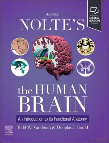 Nolte's The Human Brain: An Introduction to its Functional Anatomy - Todd W. Vanderah PhD [KSIĄŻKA]