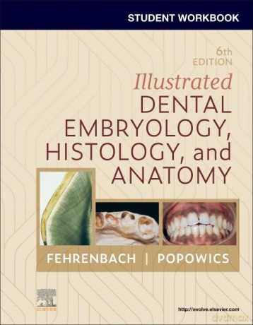 Student Workbook for Illustrated Dental Embryology, Histology and Anatomy - Margaret J. Fehrenbach RDH MS [KSIĄŻKA]