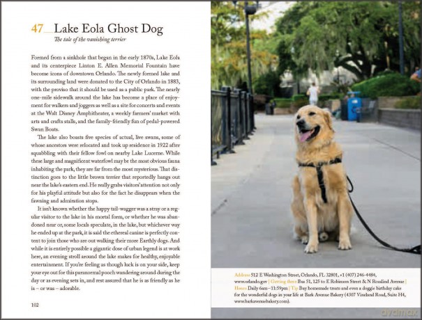 111 Places in Orlando That You Must Not Miss: Travel Guide - Susan Veness [KSIĄŻKA]