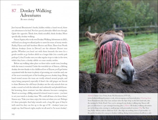 111 Places in Dorset That You Shouldn't Miss: Travel Guide - Jeni Bell [KSIĄŻKA]