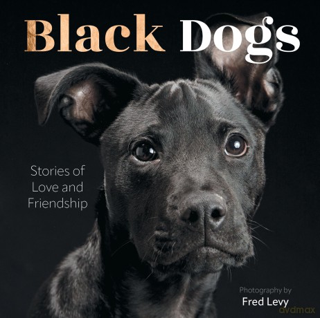 Black Dogs: Stories of Love and Friendship - Fred Levy [KSIĄŻKA]