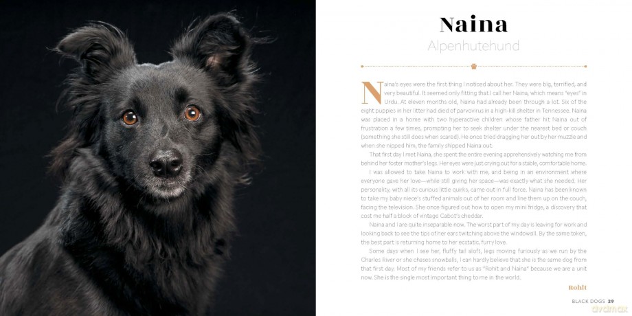 Black Dogs: Stories of Love and Friendship - Fred Levy [KSIĄŻKA]