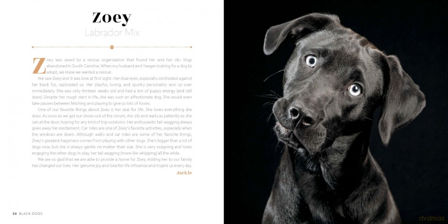 Black Dogs: Stories of Love and Friendship - Fred Levy [KSIĄŻKA]