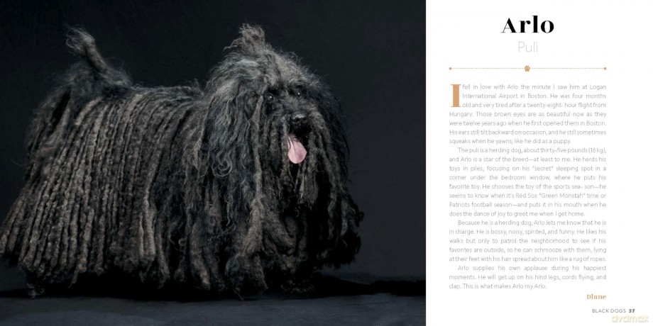 Black Dogs: Stories of Love and Friendship - Fred Levy [KSIĄŻKA]