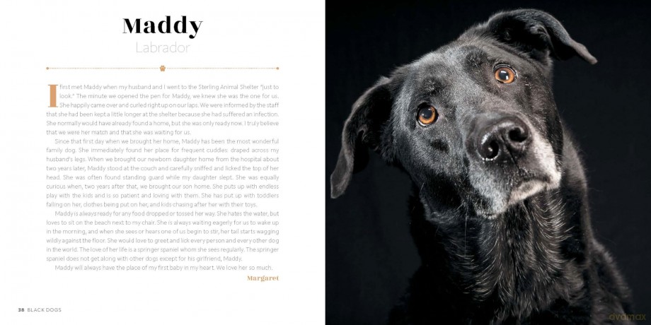 Black Dogs: Stories of Love and Friendship - Fred Levy [KSIĄŻKA]