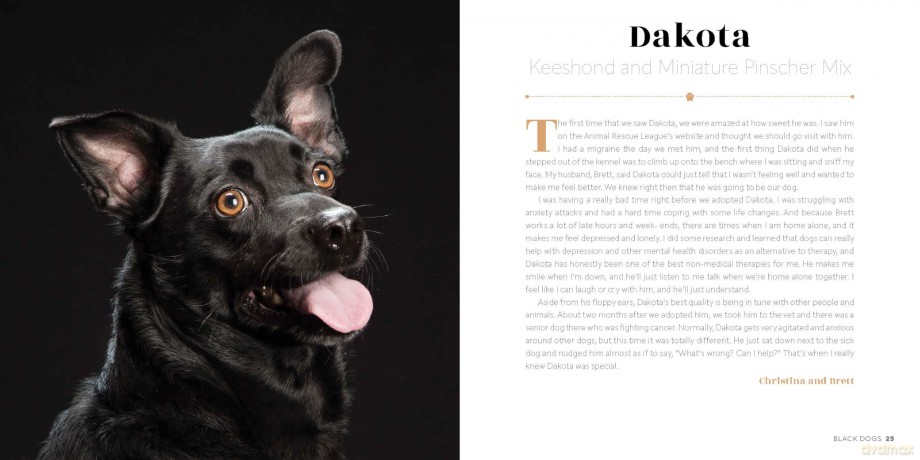 Black Dogs: Stories of Love and Friendship - Fred Levy [KSIĄŻKA]