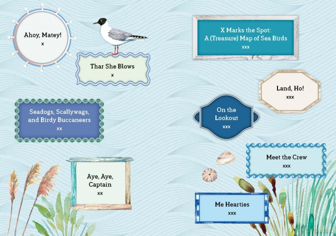 Sea Bird: Explore the Charming Oceanside Song of Our Shoreline Feathered Friends - Angela Harrison Vinet [KSIĄŻKA]