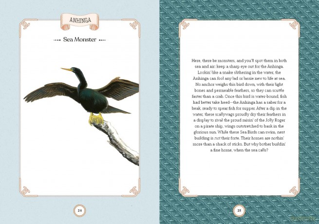 Sea Bird: Explore the Charming Oceanside Song of Our Shoreline Feathered Friends - Angela Harrison Vinet [KSIĄŻKA]