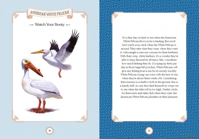 Sea Bird: Explore the Charming Oceanside Song of Our Shoreline Feathered Friends - Angela Harrison Vinet [KSIĄŻKA]