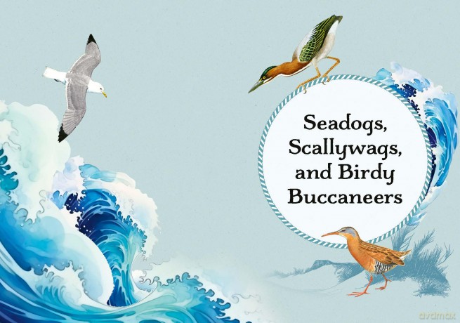 Sea Bird: Explore the Charming Oceanside Song of Our Shoreline Feathered Friends - Angela Harrison Vinet [KSIĄŻKA]