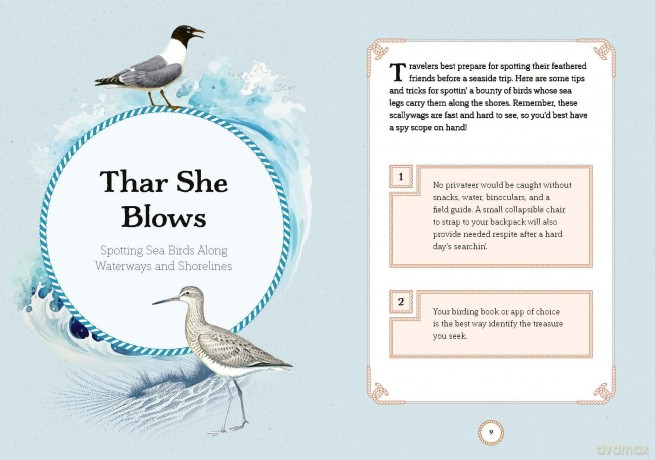 Sea Bird: Explore the Charming Oceanside Song of Our Shoreline Feathered Friends - Angela Harrison Vinet [KSIĄŻKA]