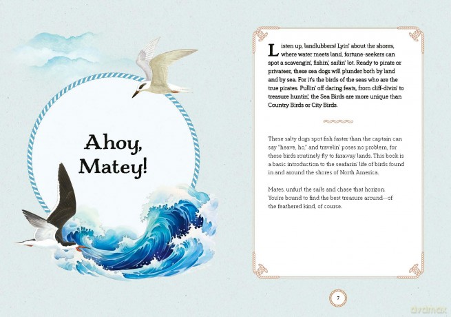 Sea Bird: Explore the Charming Oceanside Song of Our Shoreline Feathered Friends - Angela Harrison Vinet [KSIĄŻKA]