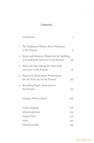 The Shortest History of Music: From Bone Flutes to Synthesizers, Hildegard of Bingen to Beyoncé - 5,000 Years of Instrument and Song - Andrew Ford [KSIĄŻKA]