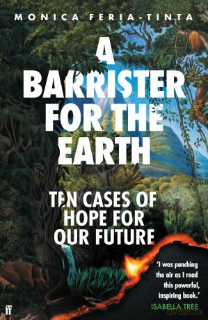 A Barrister for the Earth: Ten Cases of Hope for Our Future - Monica Feria-Tinta [KSIĄŻKA]