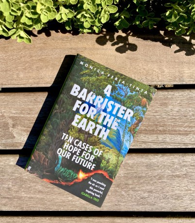 A Barrister for the Earth: Ten Cases of Hope for Our Future - Monica Feria-Tinta [KSIĄŻKA]