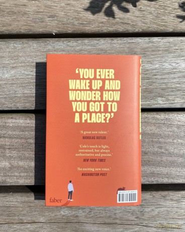 Fulfillment: A Sunday Times Summer Reads Pick - Lee Cole [KSIĄŻKA]