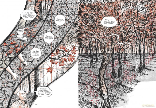 Ginseng Roots: 'A comic-book masterpiece' Observer - Craig Thompson [KSIĄŻKA]