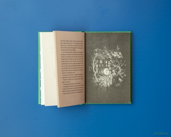The Children of Green Knowe: 70th Anniversary Illustrated Edition - Lucy M. Boston [KSIĄŻKA]