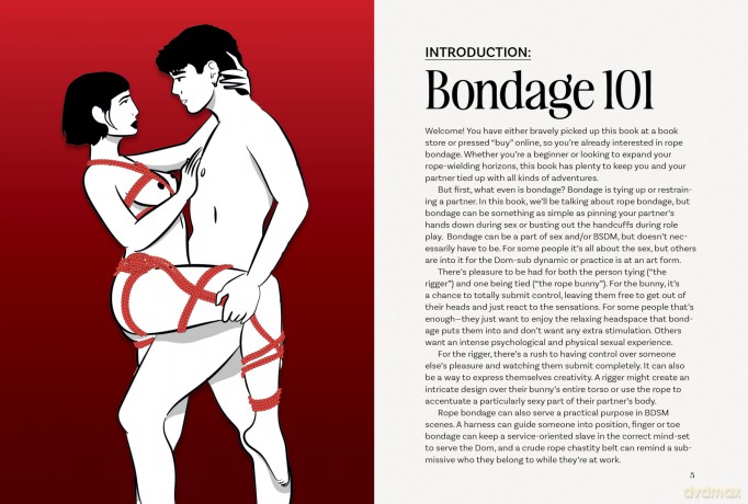 The Bondage Playbook: 31 Must-Know Knots and Ties for Bondage Beginners - The Editors of Quiver [KSIĄŻKA]