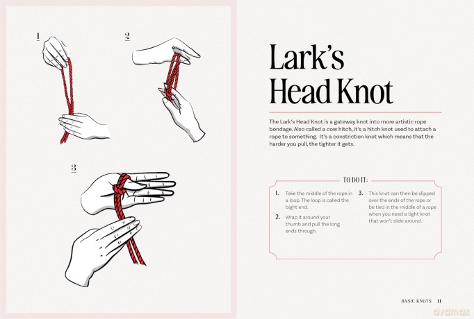 The Bondage Playbook: 31 Must-Know Knots and Ties for Bondage Beginners - The Editors of Quiver [KSIĄŻKA]