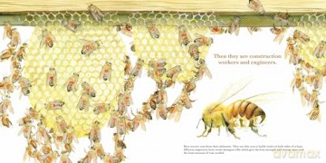 They Work: Honey Bees, Nature's Pollinators - June Smalls [KSIĄŻKA]