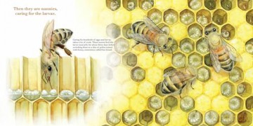 They Work: Honey Bees, Nature's Pollinators - June Smalls [KSIĄŻKA]