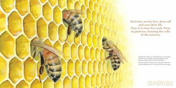 They Work: Honey Bees, Nature's Pollinators - June Smalls [KSIĄŻKA]