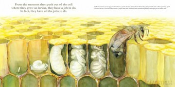 They Work: Honey Bees, Nature's Pollinators - June Smalls [KSIĄŻKA]