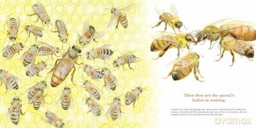They Work: Honey Bees, Nature's Pollinators - June Smalls [KSIĄŻKA]