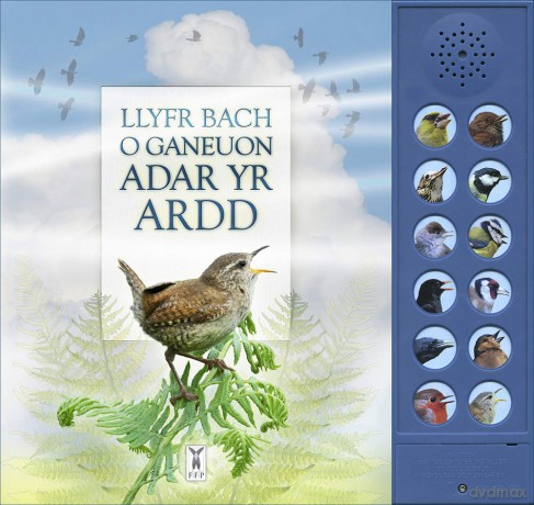 Llyfr Bach O Ganeuon Adar Yrardd: The Little Book Of Garden Bird Songs Welsh Edition: Interactive sound book for birdwatchers: Part of the Little Book of Sounds Series for Children Aged 3 to 8 Years - Caz Buckingham [KSIĄŻKA]