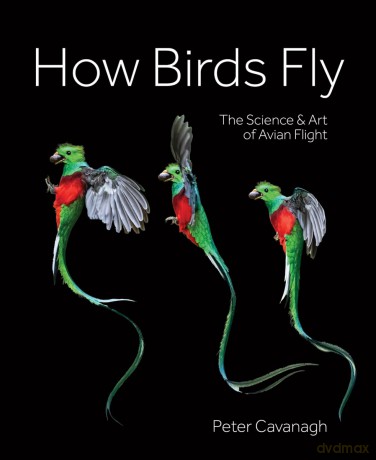 How Birds Fly The Science and Art of Avian Flight. - Peter Cavanagh [KSIĄŻKA]